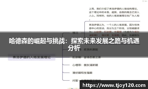哈德森的崛起与挑战：探索未来发展之路与机遇分析